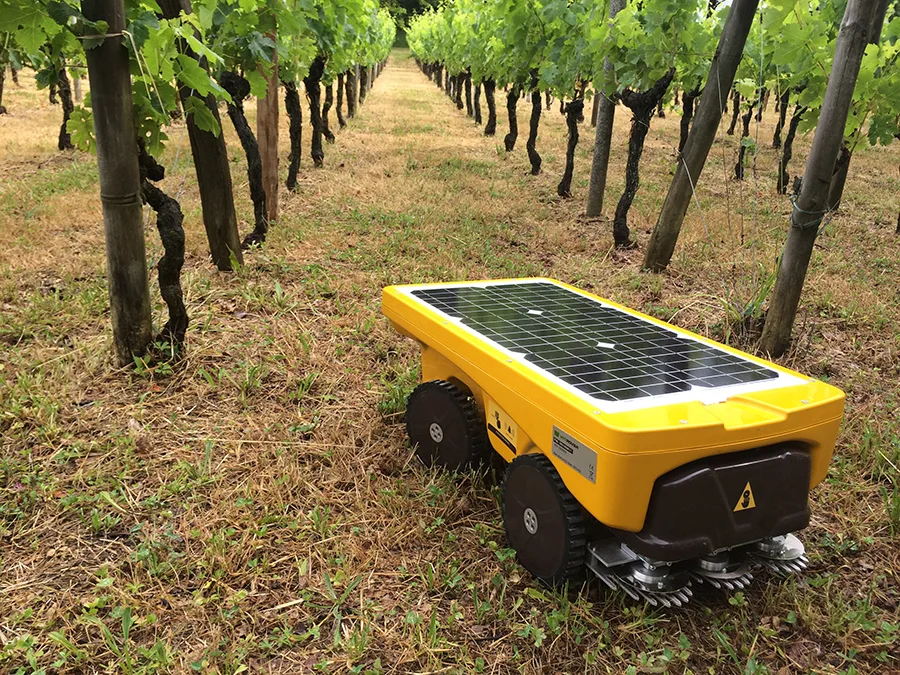 VITIROVER robot Outdoor pentru livezi, viticultura, panouri solare - 2